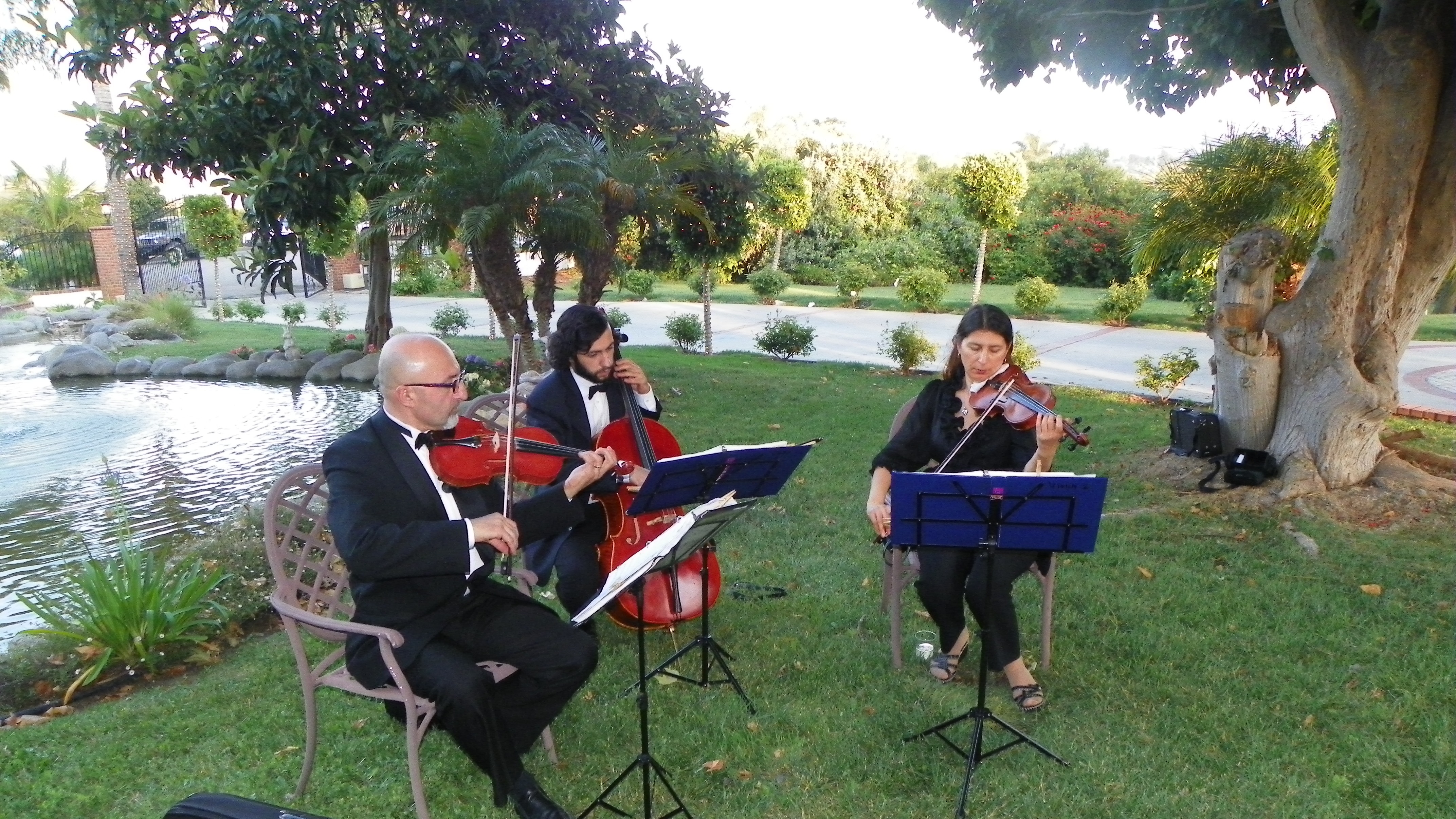 Bravo Trio During The Cocktail Hour